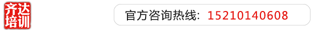 河南人操逼视频色网站齐达艺考文化课-艺术生文化课,艺术类文化课,艺考生文化课logo